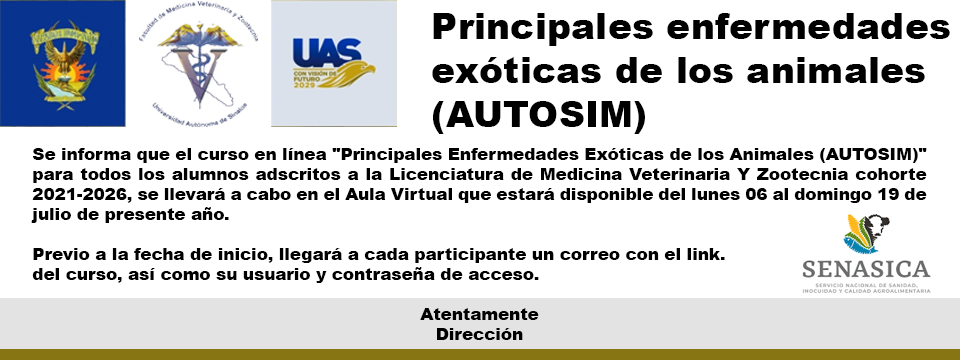 curso curso
